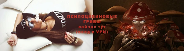 стафф Балахна