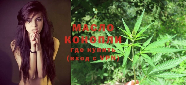 дмт Няндома