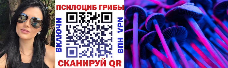 Галлюциногенные грибы Psilocybe  Бирск 